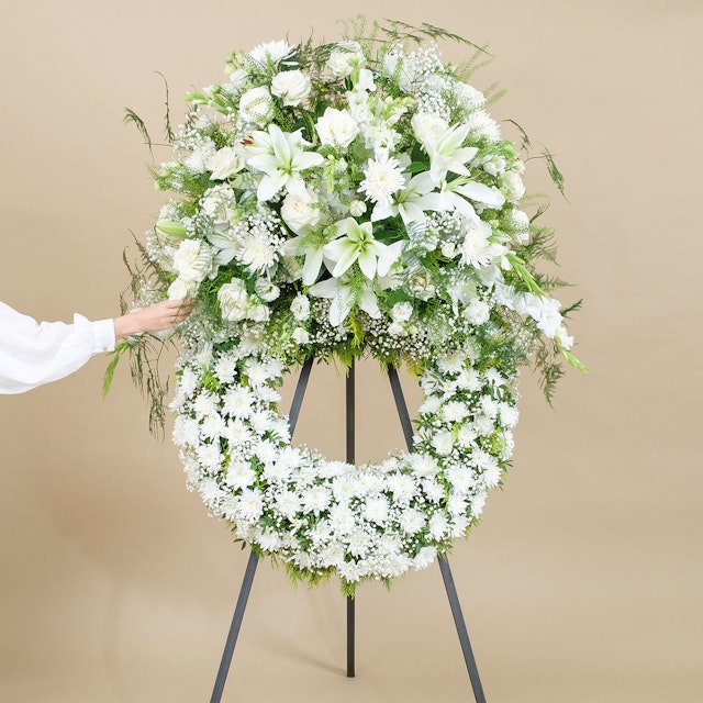 Aureola Premium Bianca