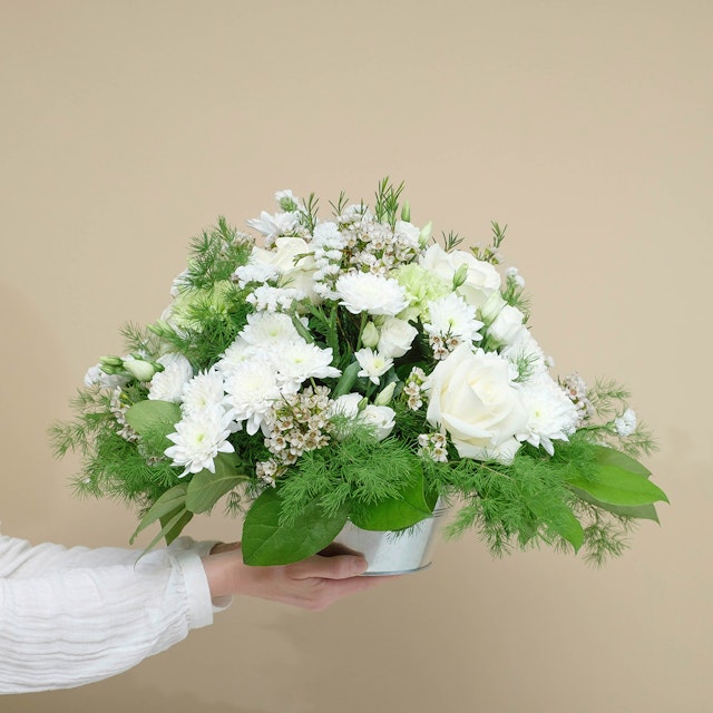 Composizione Serenità Bianca