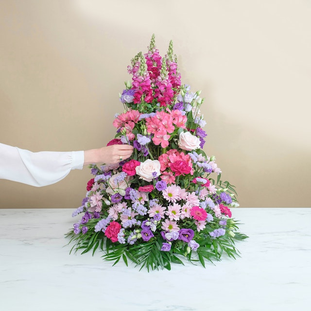 Ascesa rosa