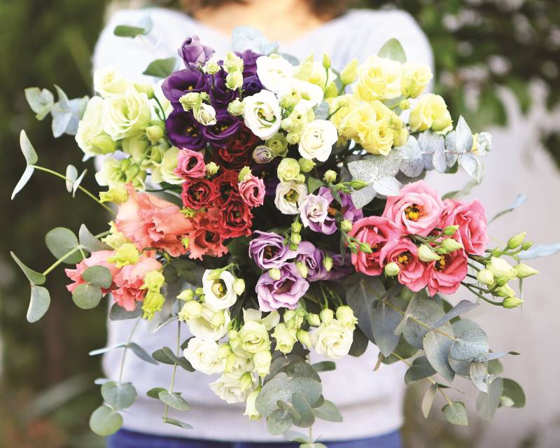 Il significato del fiore del Lisianthus