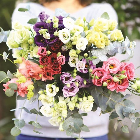 Il significato del fiore del Lisianthus