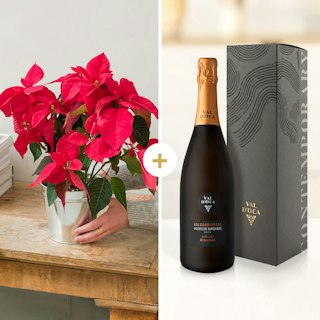 Magia delle feste