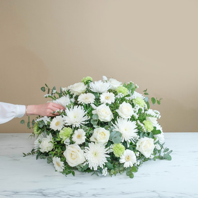 Omaggio bianco