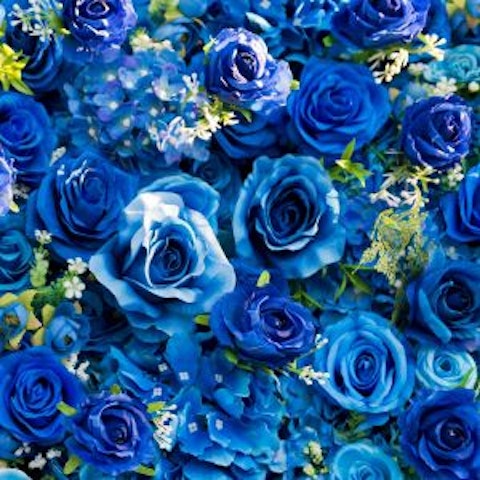 Significato della Rosa🌹Colore e simbologia - Interflora