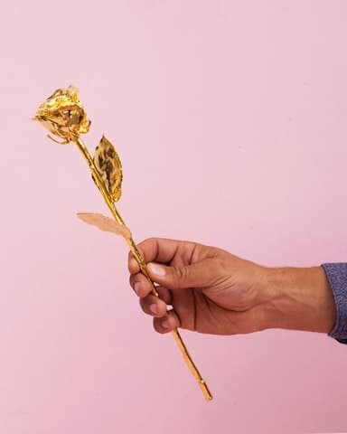 Perché si offre una rosa placcata in oro