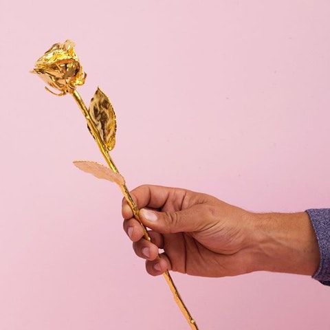 Perché si offre una rosa placcata in oro