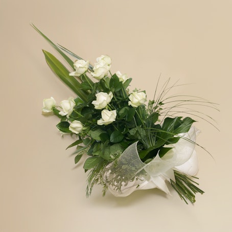 Rose bianche
