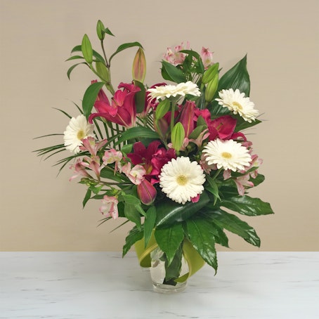 Lilium e Gerbere