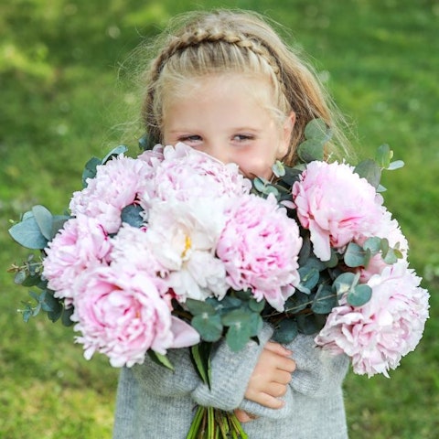 Quando regalare un mazzo di Peonie?