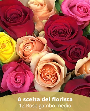 12RM - 12 rose gambo medio