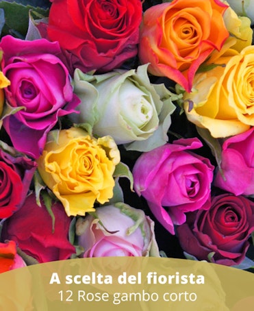 12RS - 12 rose gambo corto