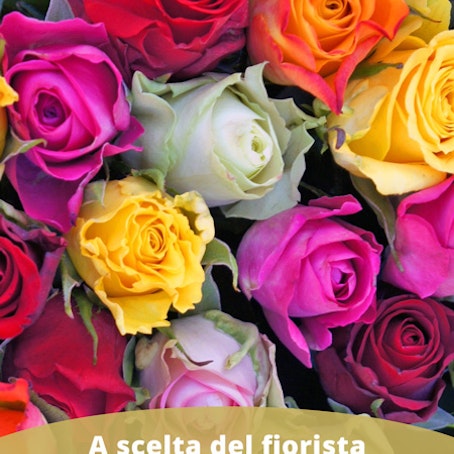 12RS - 12 rose gambo corto