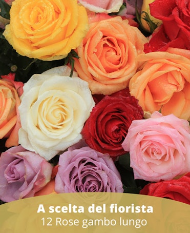 12RL - 12 Rose gambo lungo