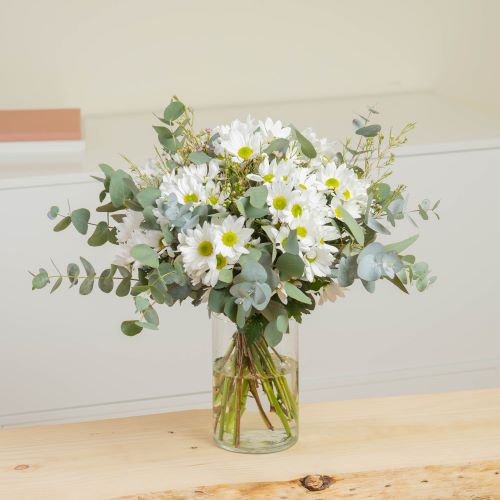 Come mantenere le margherite