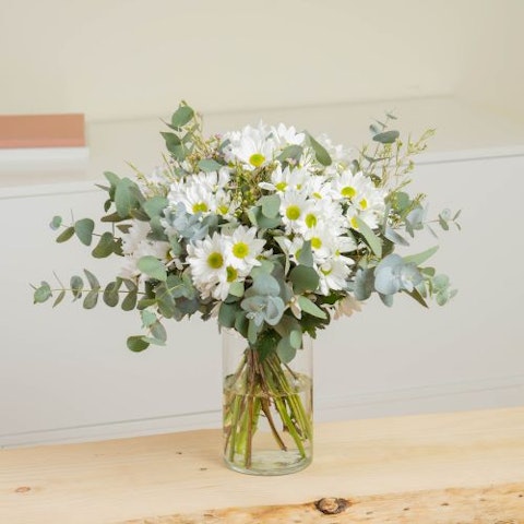 Come mantenere le margherite