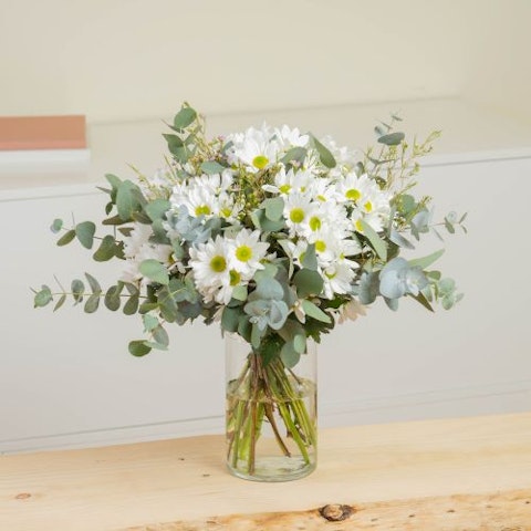 Come mantenere le margherite