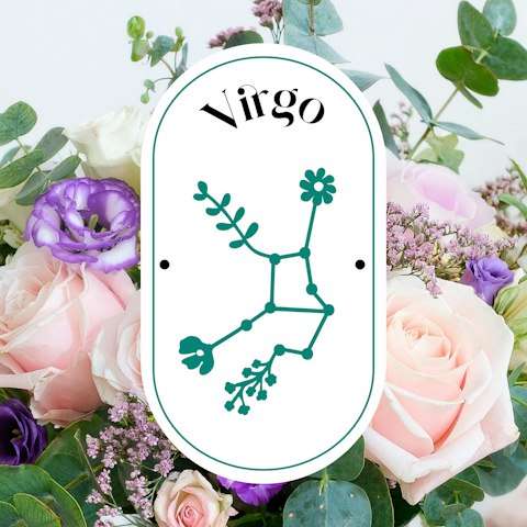 Segno del mese: Vergine