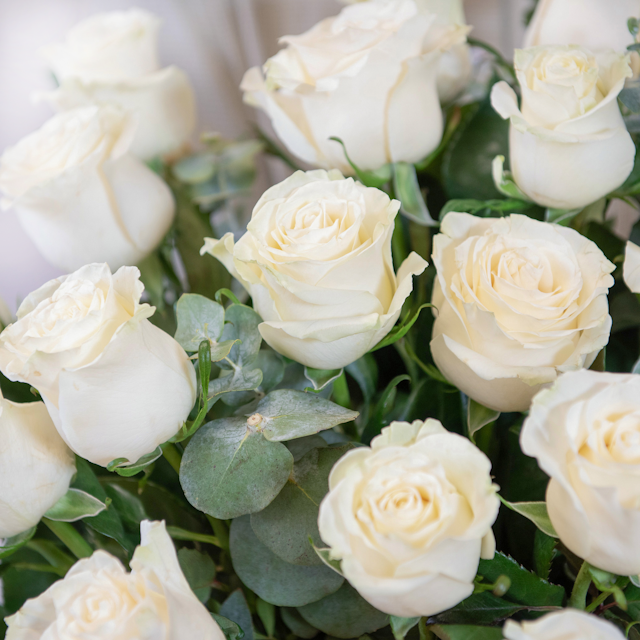 25 Rose Bianche