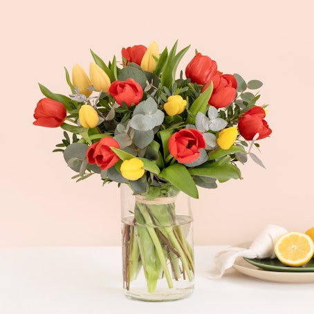 Tulipani
