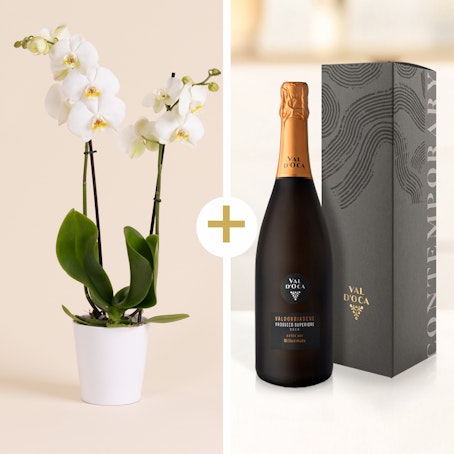 Orchidea Bianca con Prosecco Val d'Oca