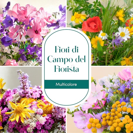 Bouquet del fiorista con fiori di campo