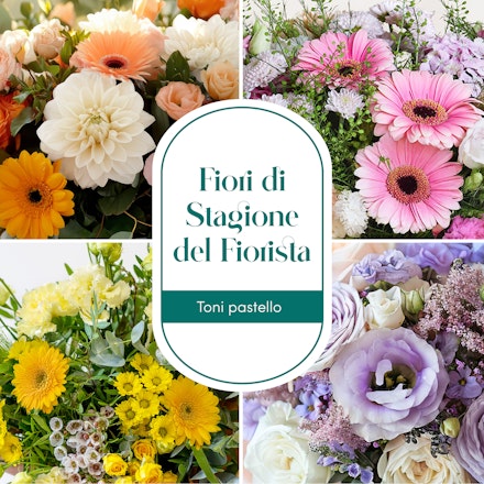 Sorpresa di Stagione - Toni Pastello