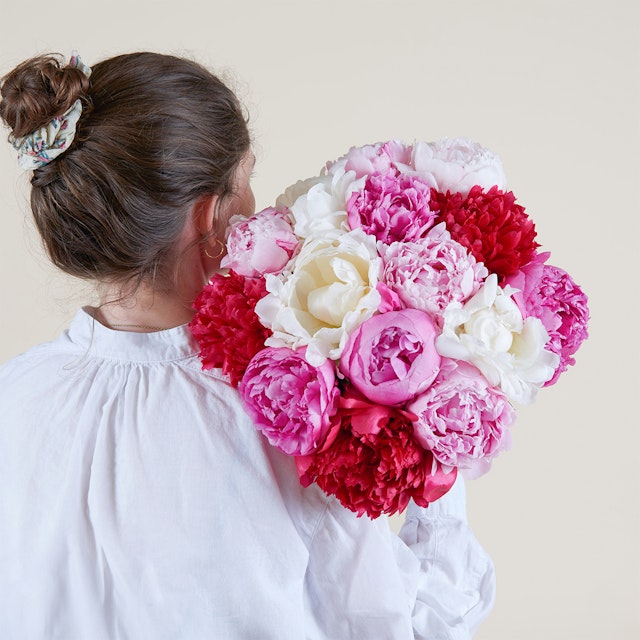 Peonie colorate