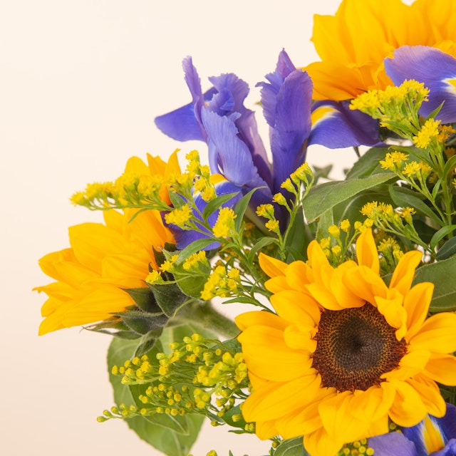 Girasoli e Iris