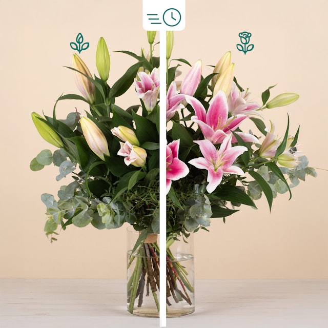 Bouquet di Gigli Rosa