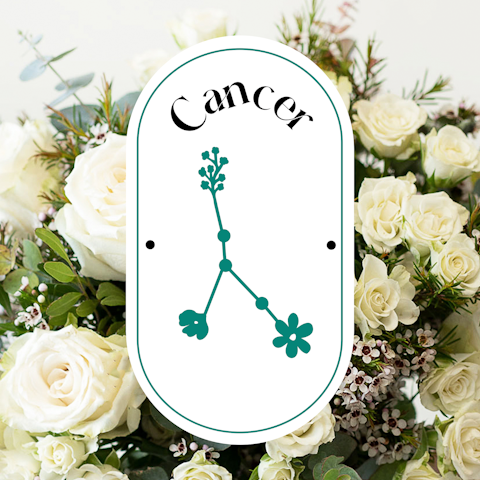 Segno del mese: Cancro
