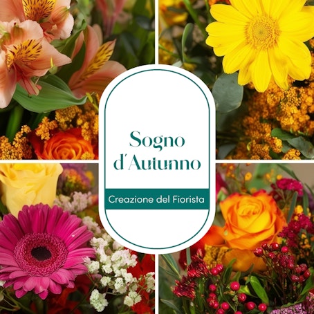Sogno d'autunno - Creazione del Fiorista