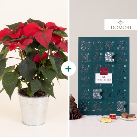 Un Pensiero al Giorno