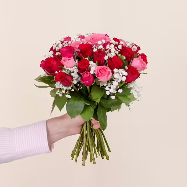 Roselline Rosse e Rosa