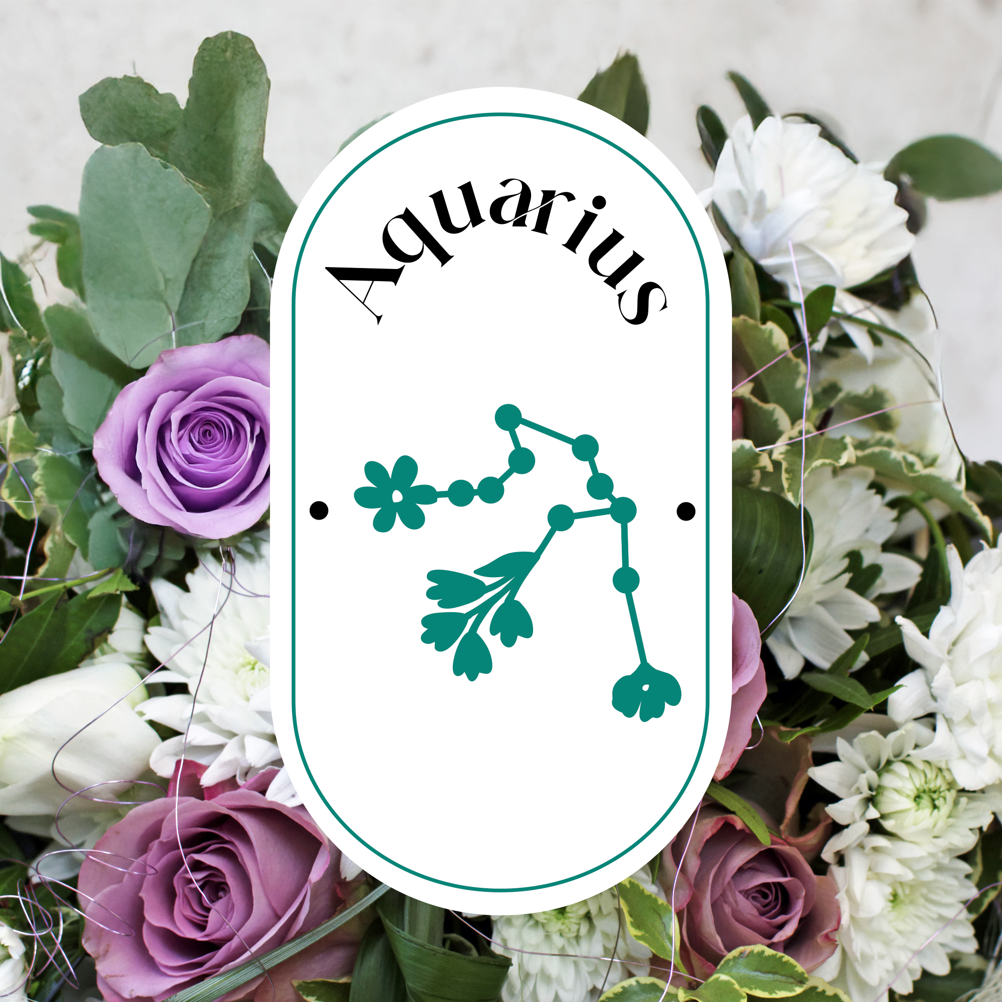 Segno del mese: Acquario