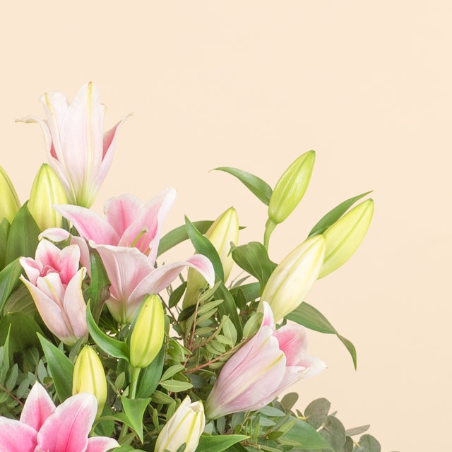 Gigli Bianchi e Rosa