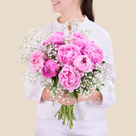 Peony Dream