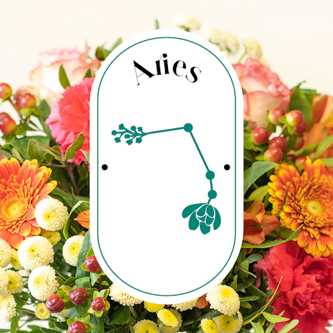 Segno del mese: Ariete