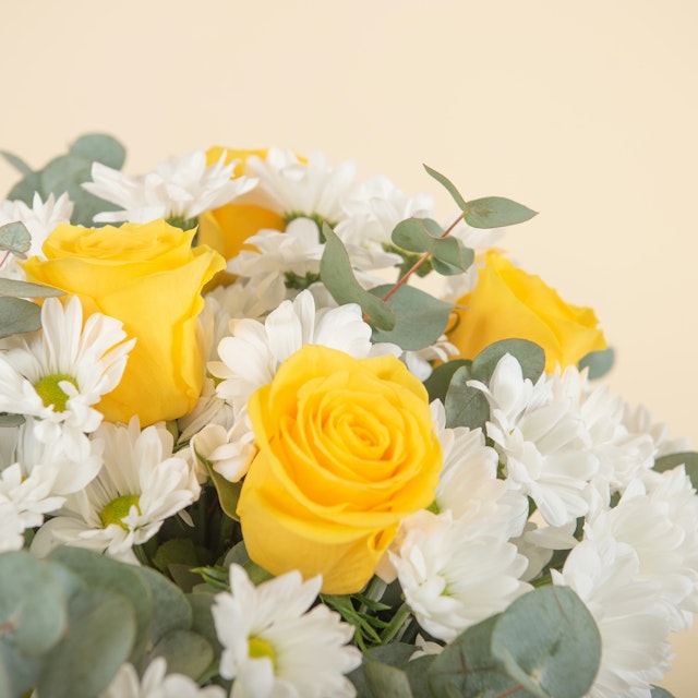 Margherite e rose