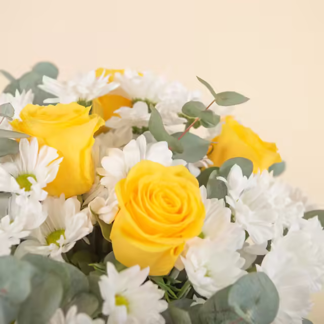 Margherite e rose