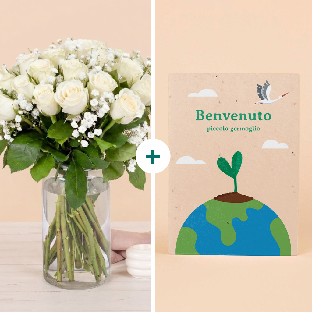 Benvenuto Piccolo