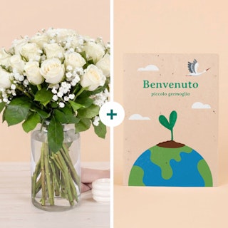 Benvenuto Piccolo