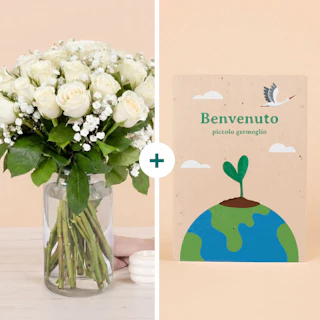 Benvenuto Piccolo