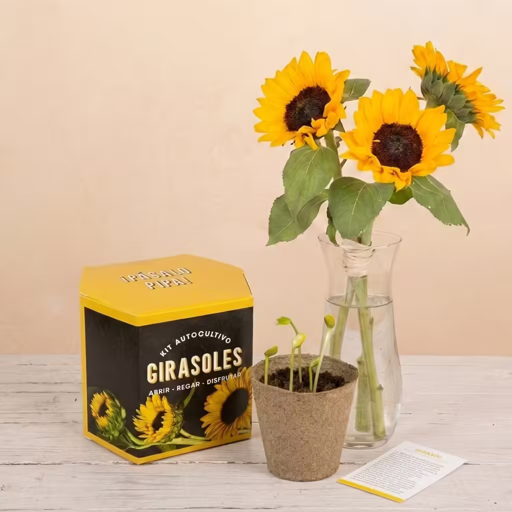 Girasoli fatti in casa
