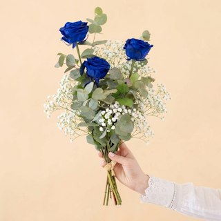 Tre rose blu