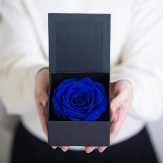 Rosa eterna blu