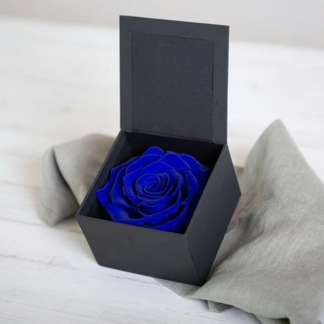 Rosa eterna blu