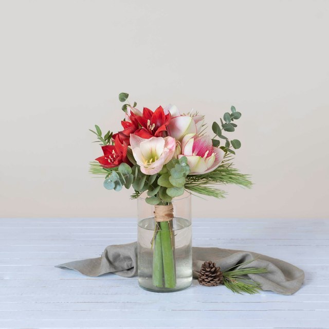 Mini Bouquet di Amaryllis