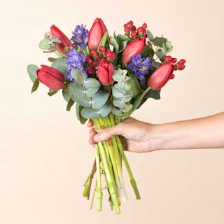Tulipani e giacinti