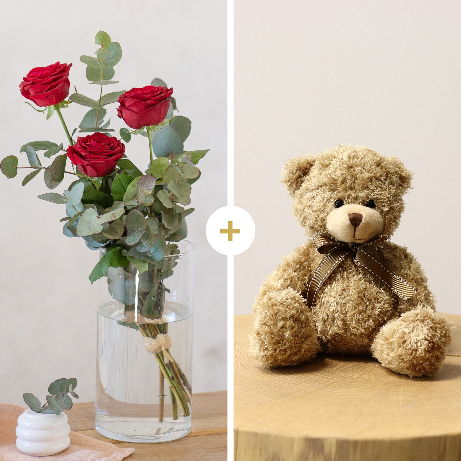 Pack: Tércia & Peluche