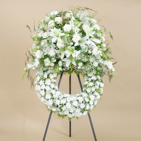 Aureola Premium Bianca